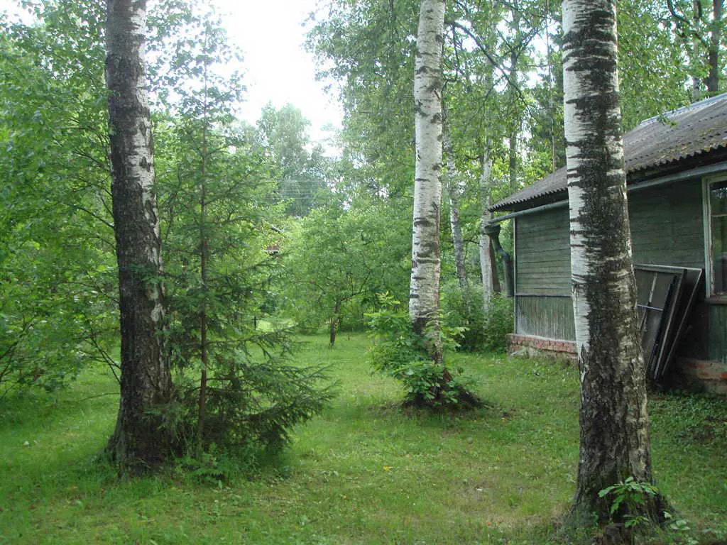 Дача с верандой-оранжереей, фото 12