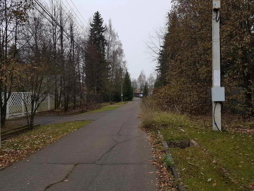 Ретро дача в лесу, фото 1