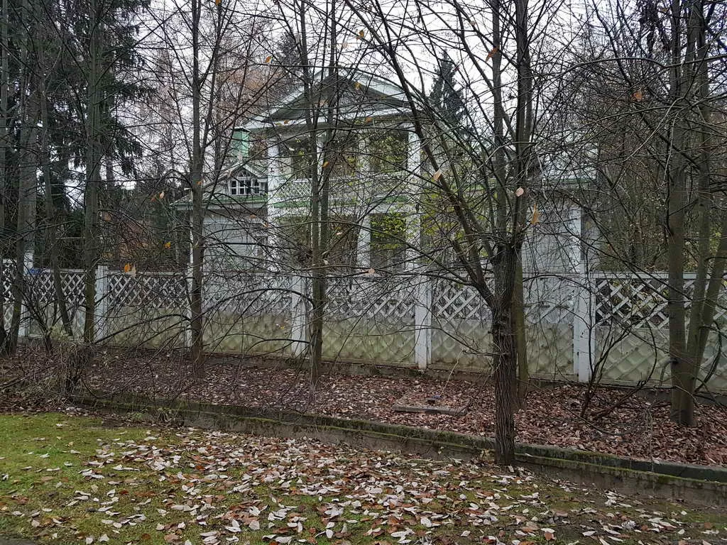 Ретро дача в лесу, фото 6