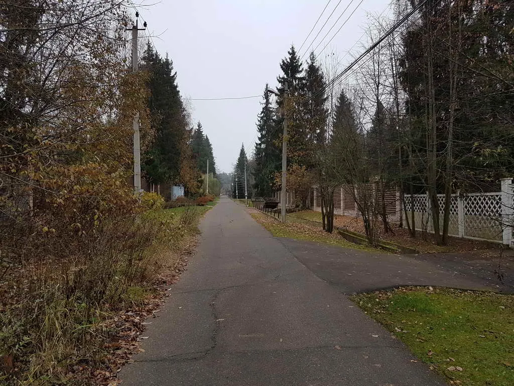 Ретро дача в лесу, фото 5