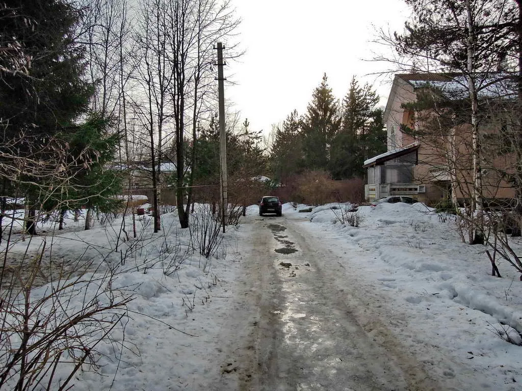 Пастельный дом в лесу, фото 1