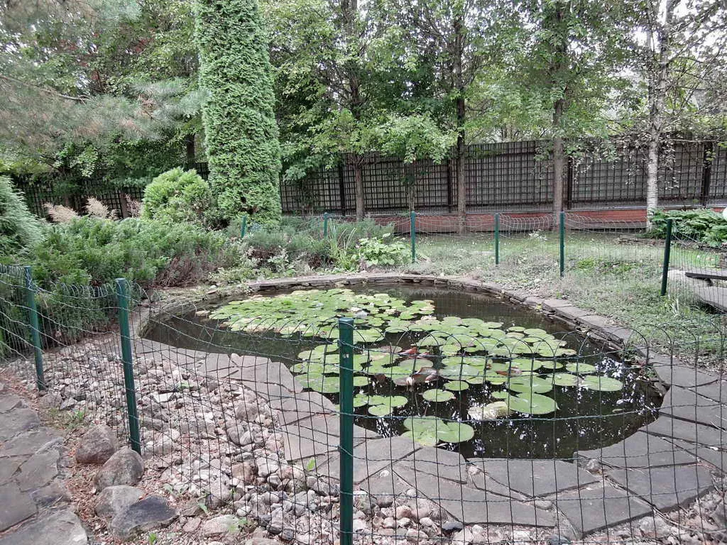 Кирпичный дом в лесу, фото 12