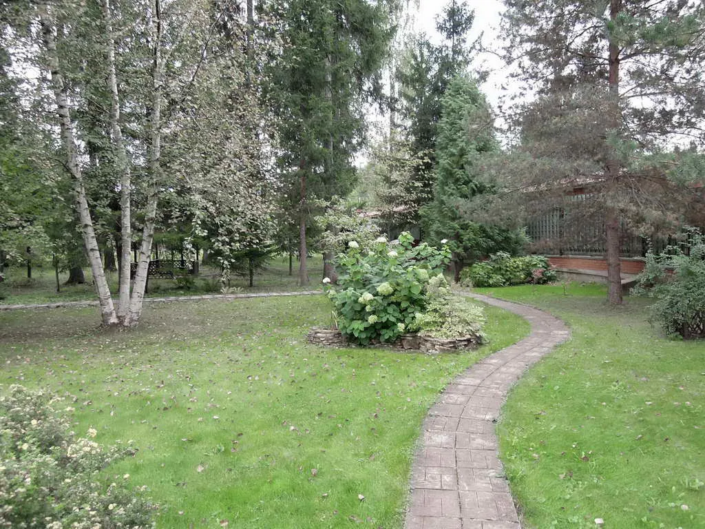 Кирпичный дом в лесу, фото 15