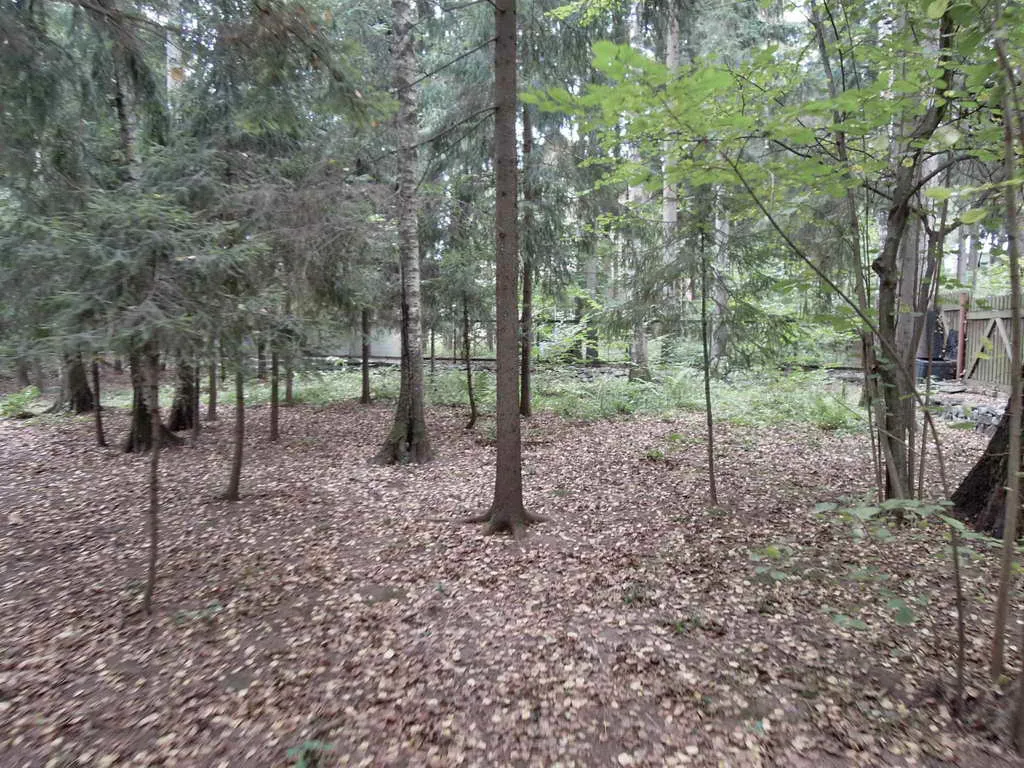 Каменные ворота в лесу, фото 11