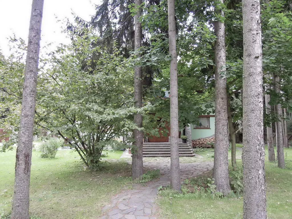 Каменные ворота в лесу, фото 5