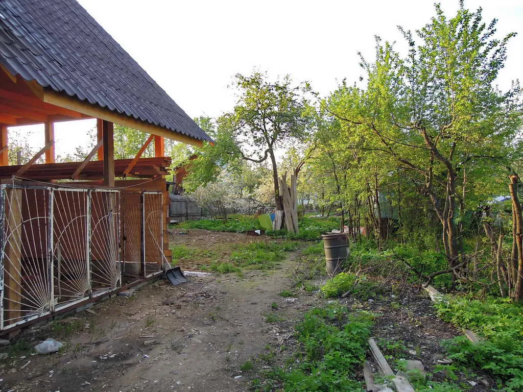Рустик-дача в зарослях, фото 5