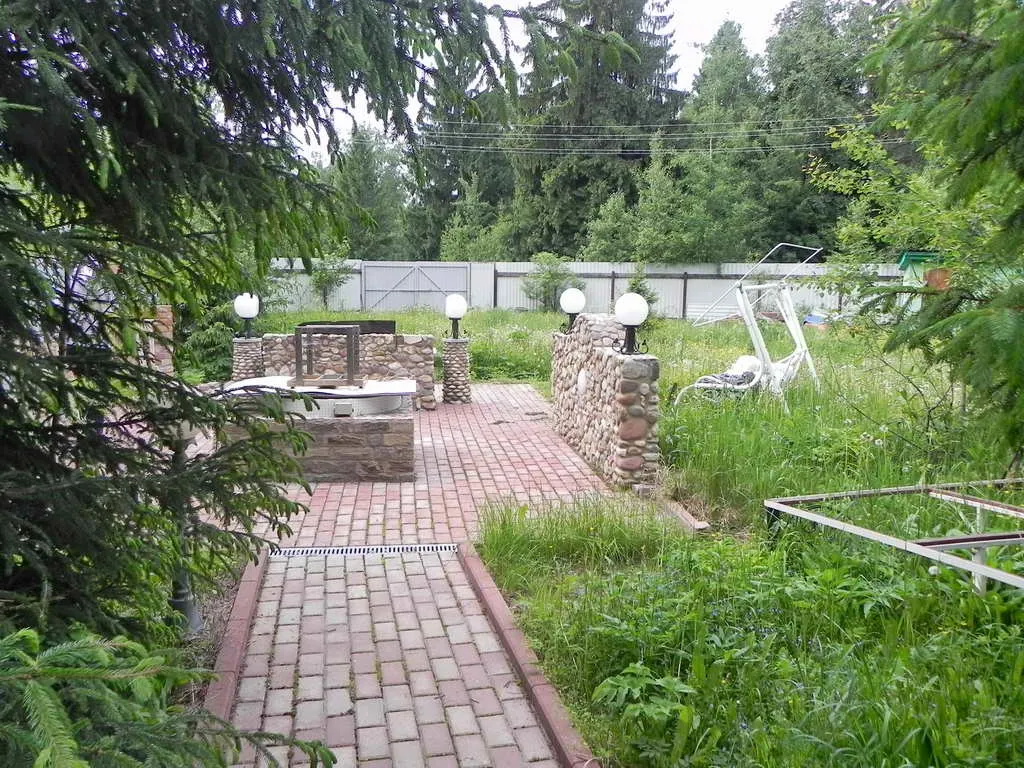 Классический дом с елями, фото 9