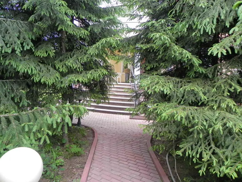Классический дом с елями, фото 4