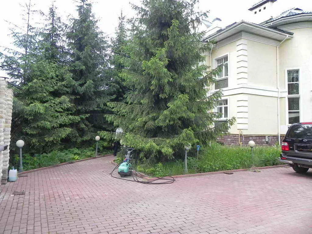 Классический дом с елями, фото 1