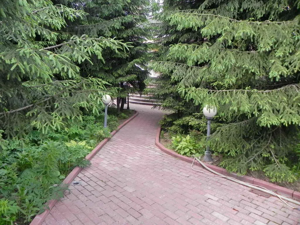 Классический дом с елями, фото 3