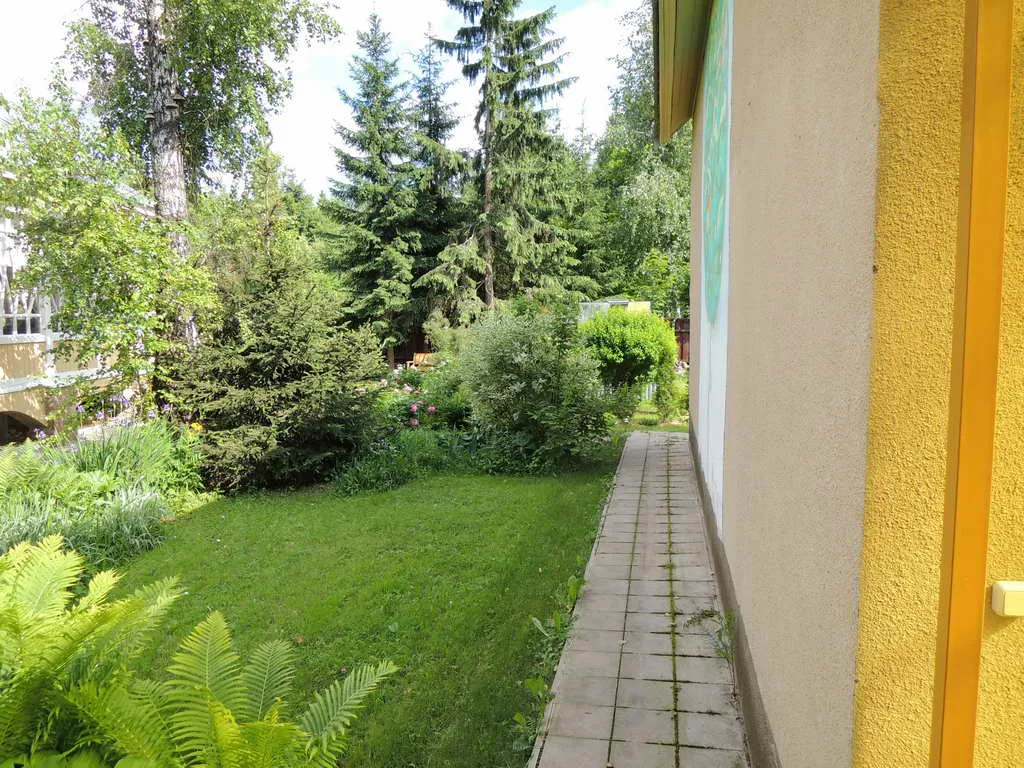 Желтый Навес Лесная, фото 7
