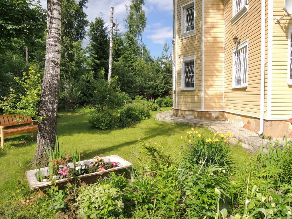 Желтый Навес Лесная, фото 11