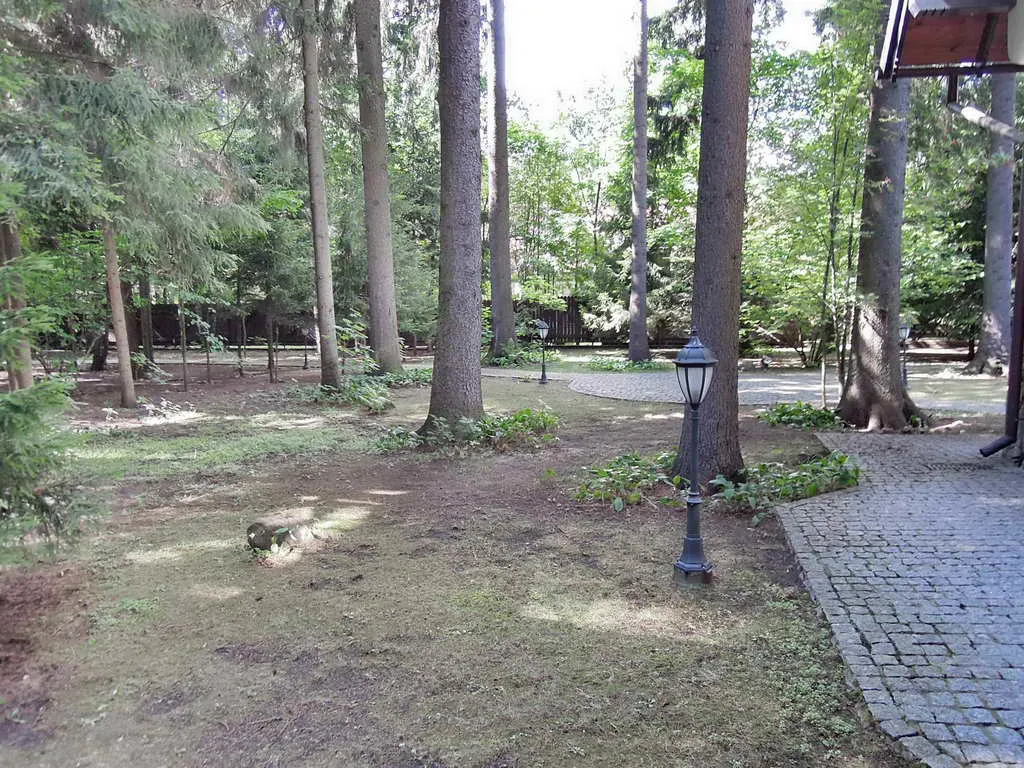 Сказочный дом в лесу, фото 17