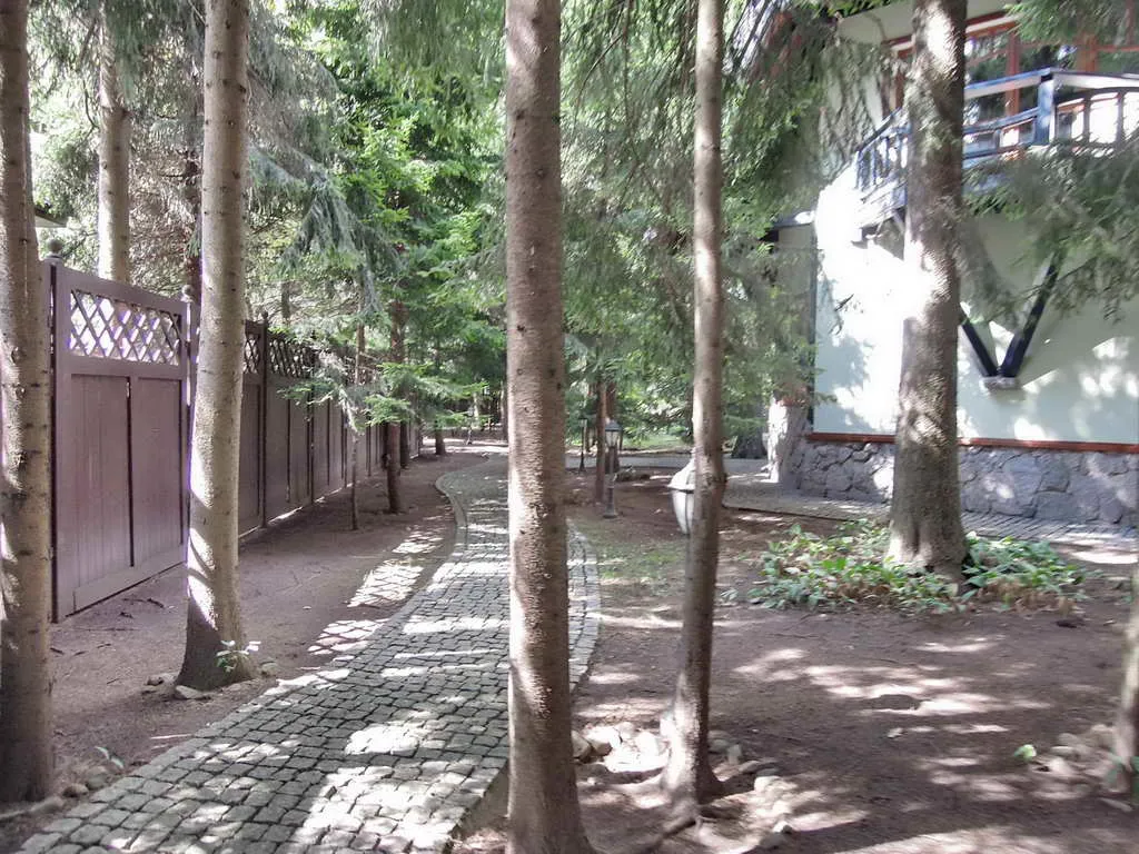 Сказочный дом в лесу, фото 13