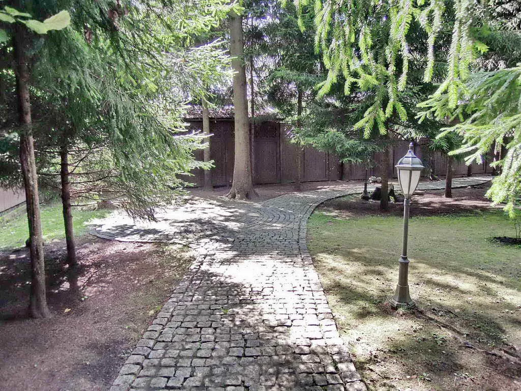 Сказочный дом в лесу, фото 11