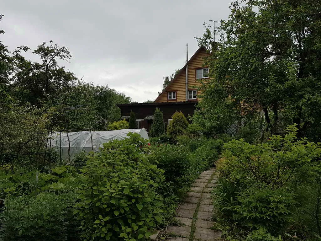 Дача в зарослях плюща, фото 11