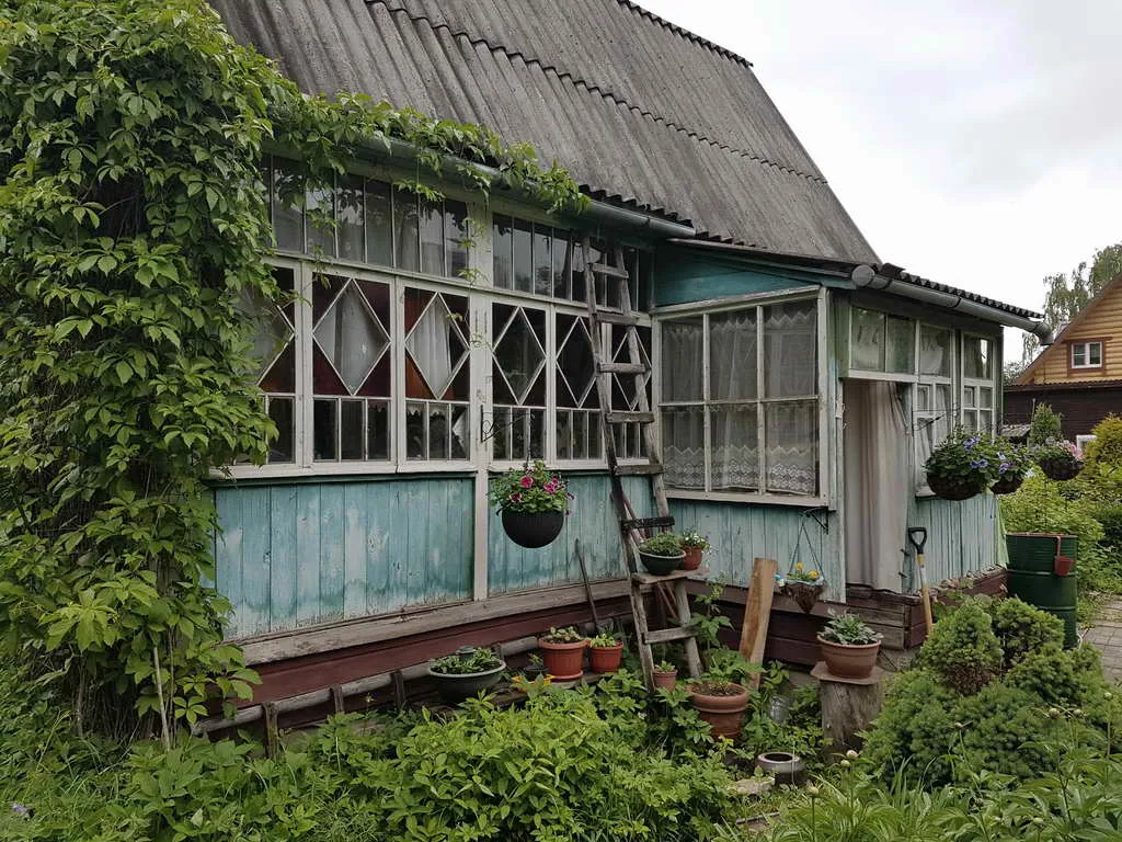Дача в зарослях плюща, фото 9
