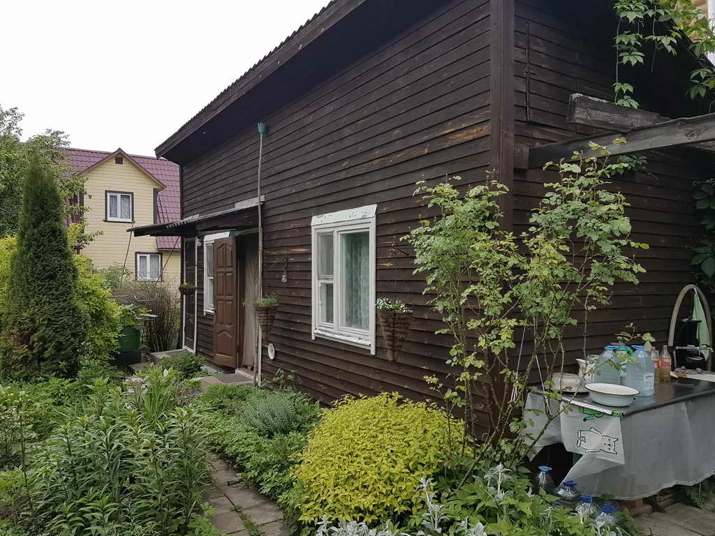 Дача в зарослях плюща, фото 17