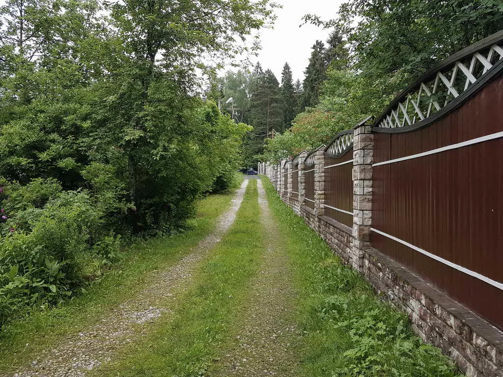 Дача в зарослях плюща, фото 1