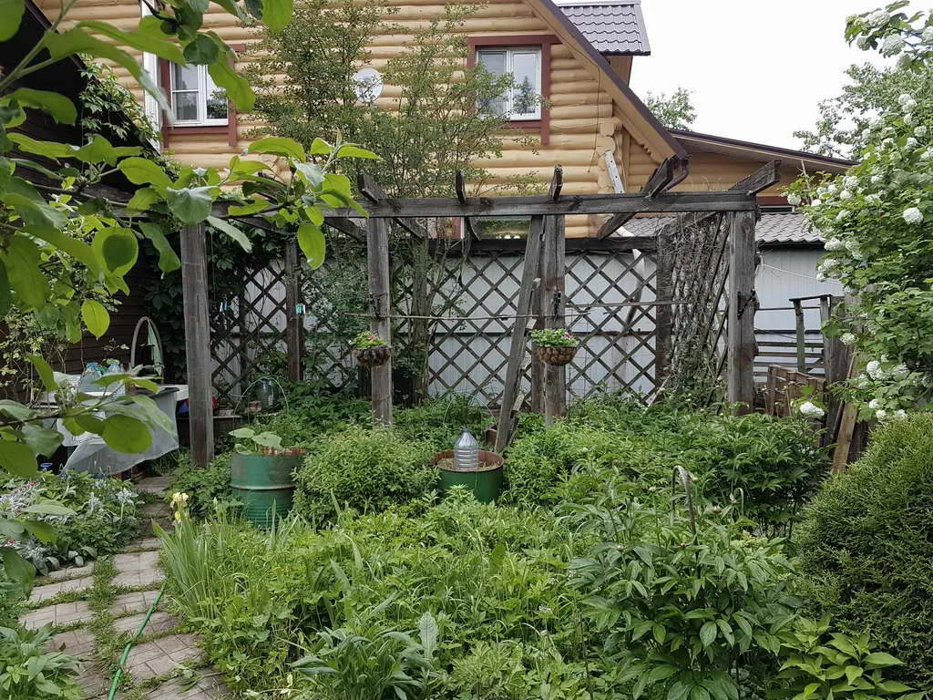 Дача в зарослях плюща, фото 16