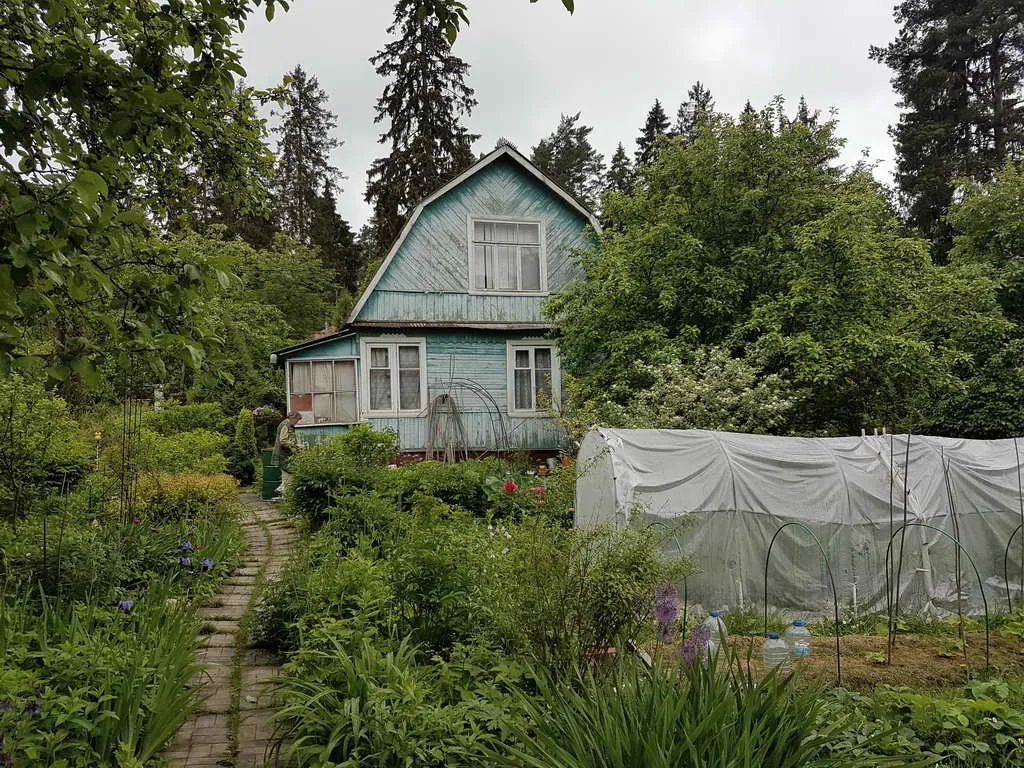 Дача в зарослях плюща, фото 20