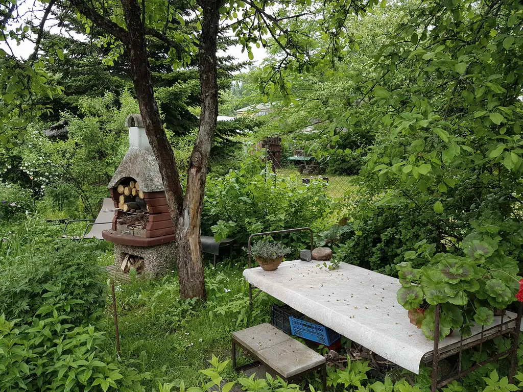 Дача в зарослях плюща, фото 14