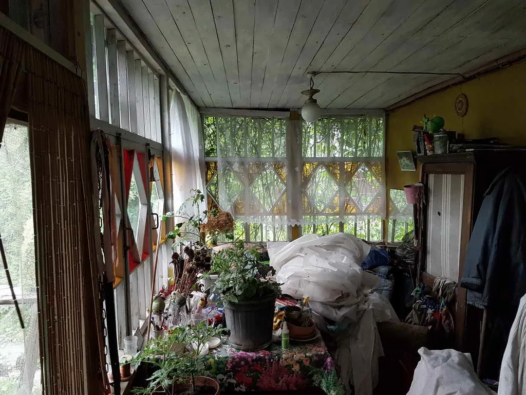 Дача в зарослях плюща, фото 22