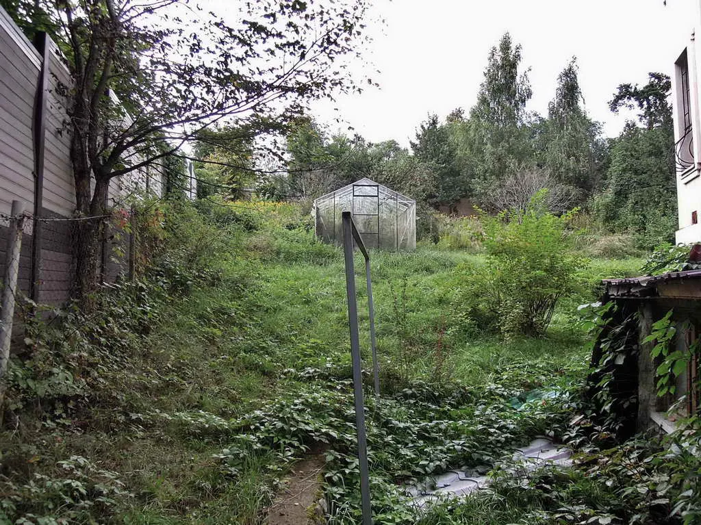 Загородный дом в лесу, фото 16