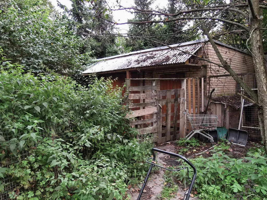 Загородный дом в лесу, фото 13