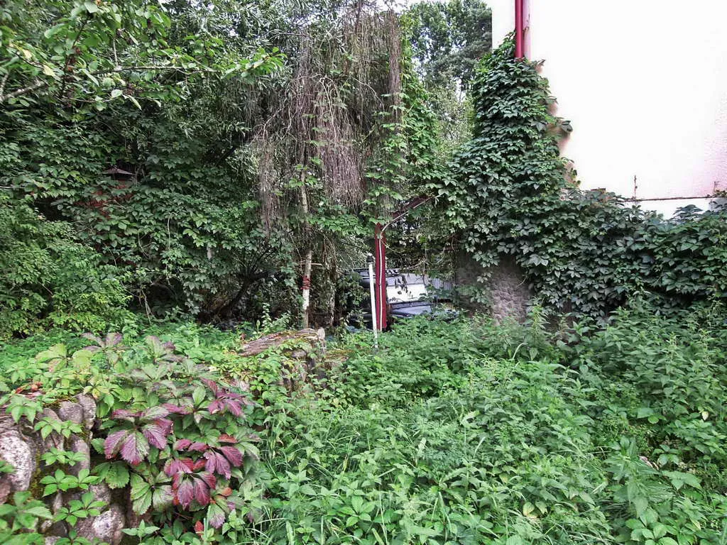 Загородный дом в лесу, фото 23
