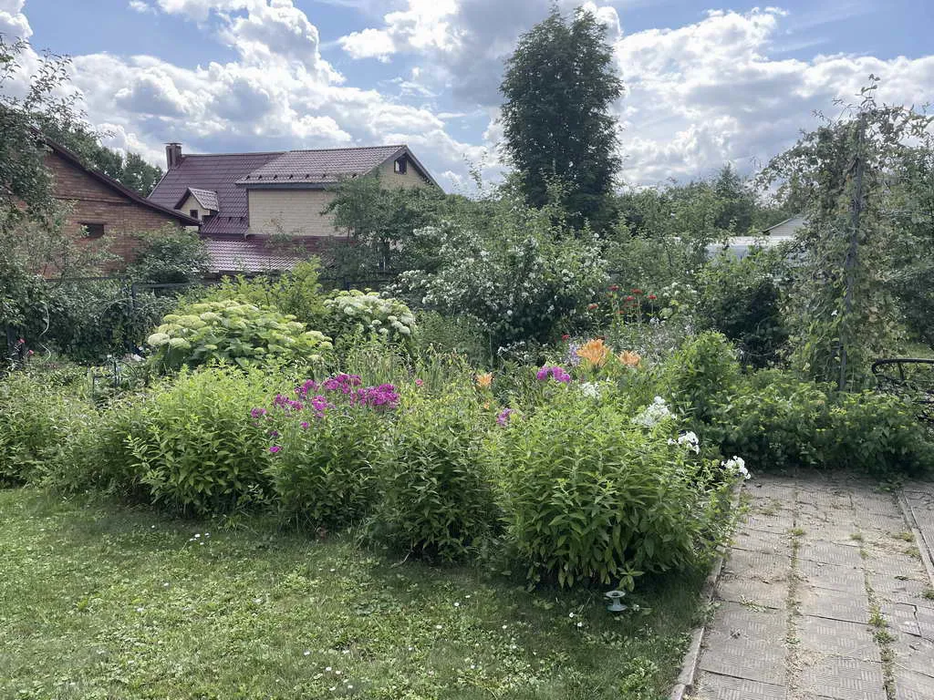 Белый дом с синим забором, фото 10