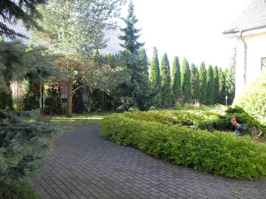 Усадьба с елями, фото 7