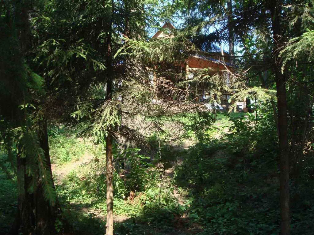 Дача под синей черепицей, фото 10