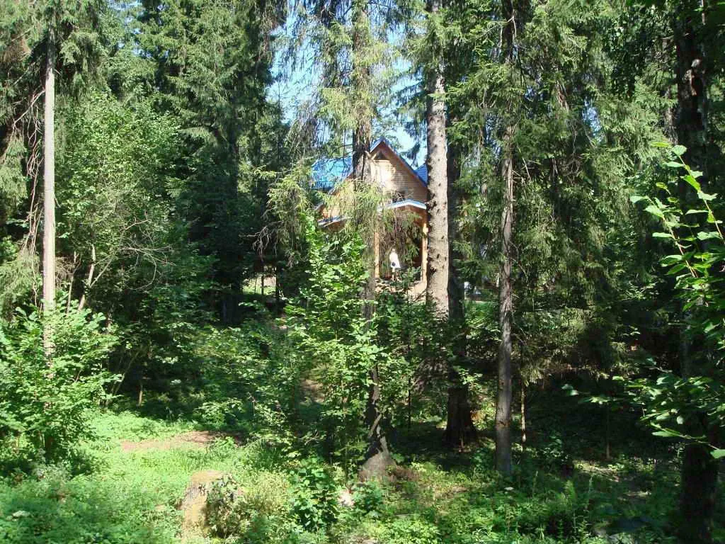 Дача под синей черепицей, фото 11