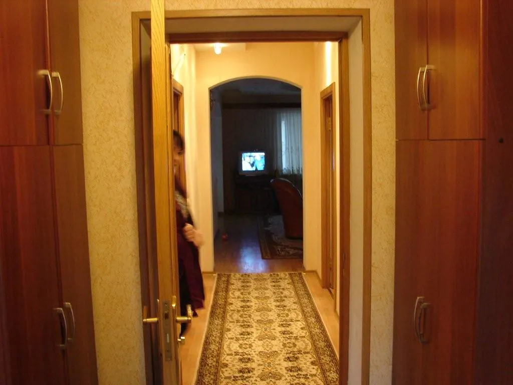 Рыжий забор и ели, фото 17