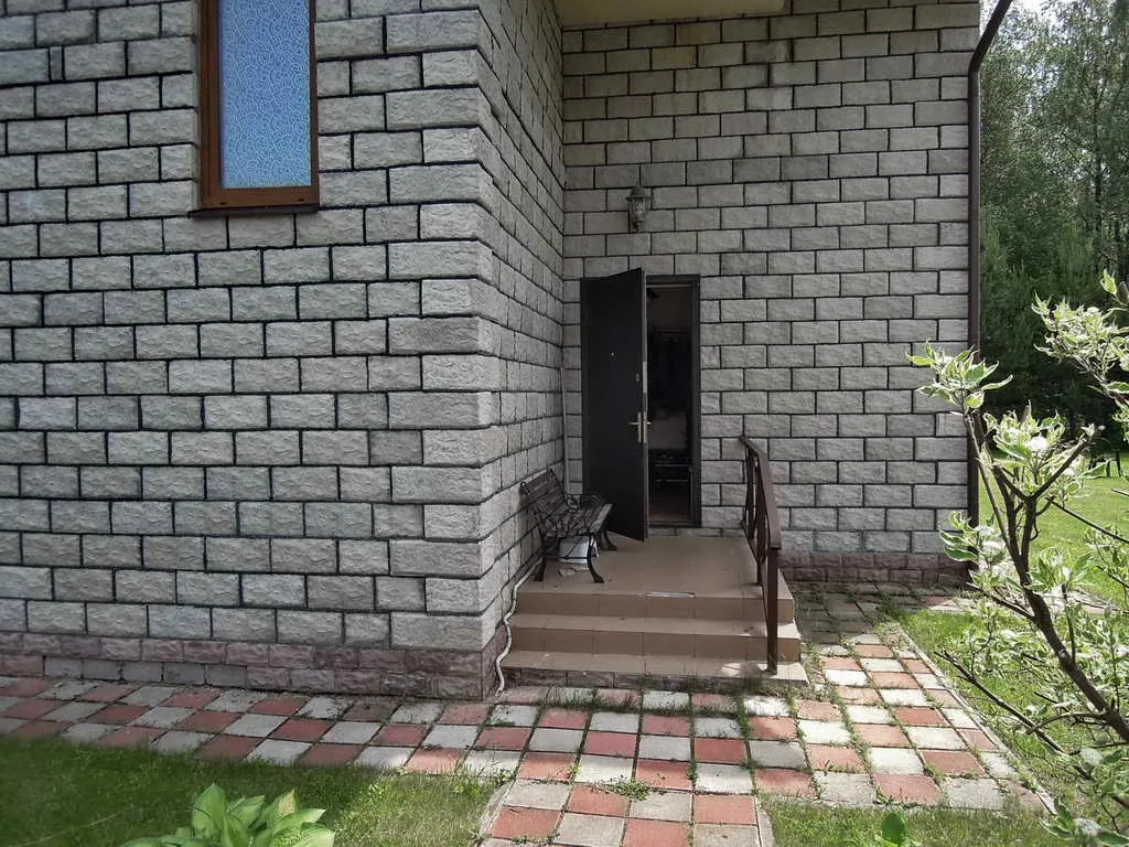 Ряды туй у леса, фото 13