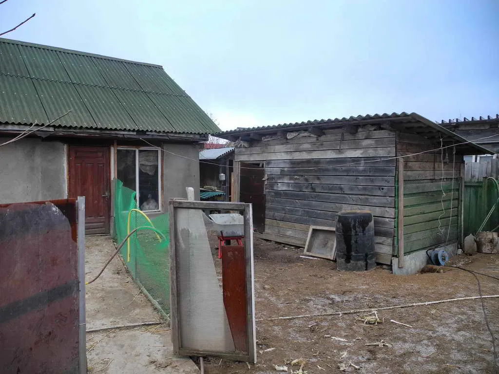 Дача с теплицей, фото 8