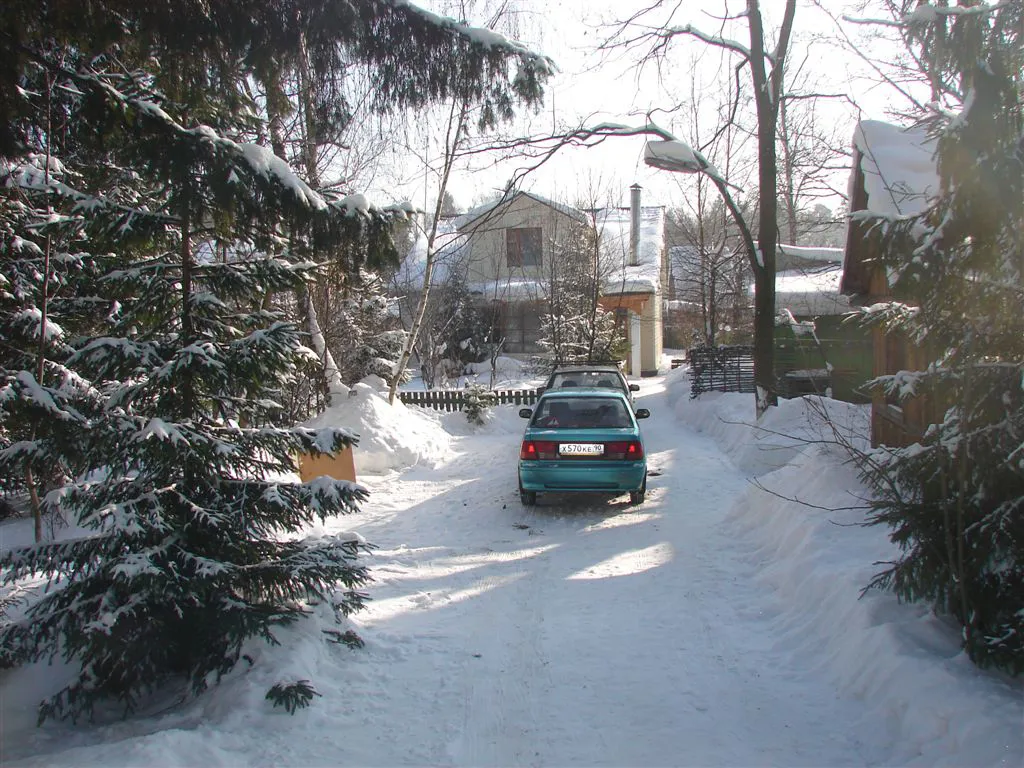 Бирюзовая Изгородь в Лесу, фото 4