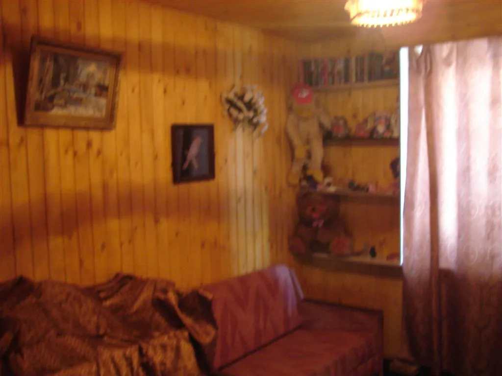 Бирюзовая Изгородь в Лесу, фото 15