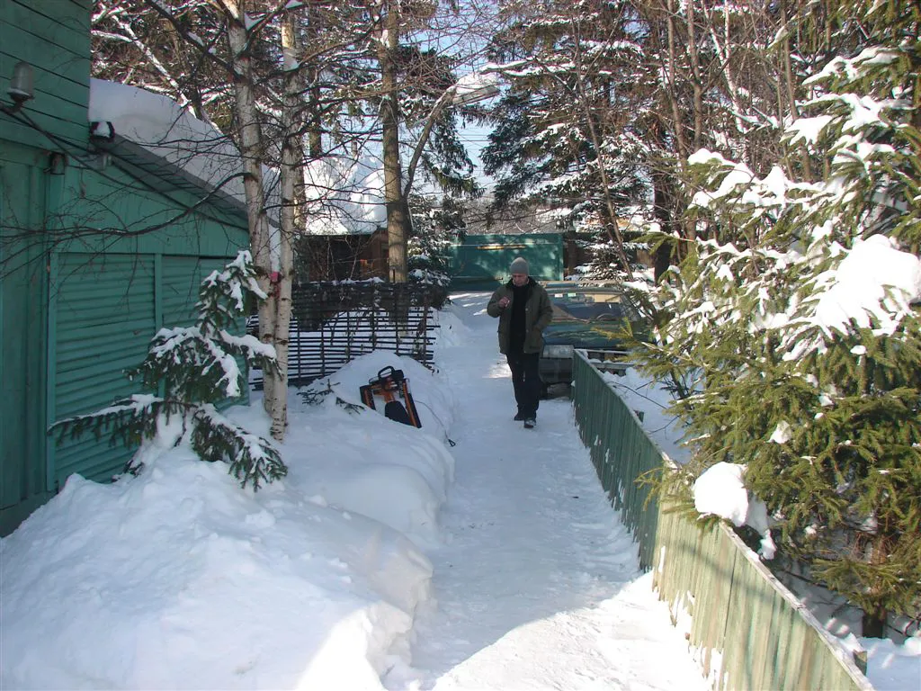 Бирюзовая Изгородь в Лесу, фото 7