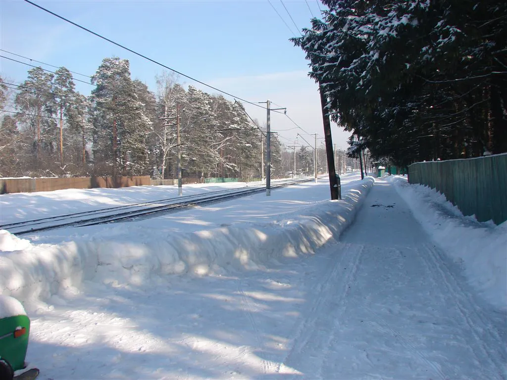 Бирюзовая Изгородь в Лесу, фото 3