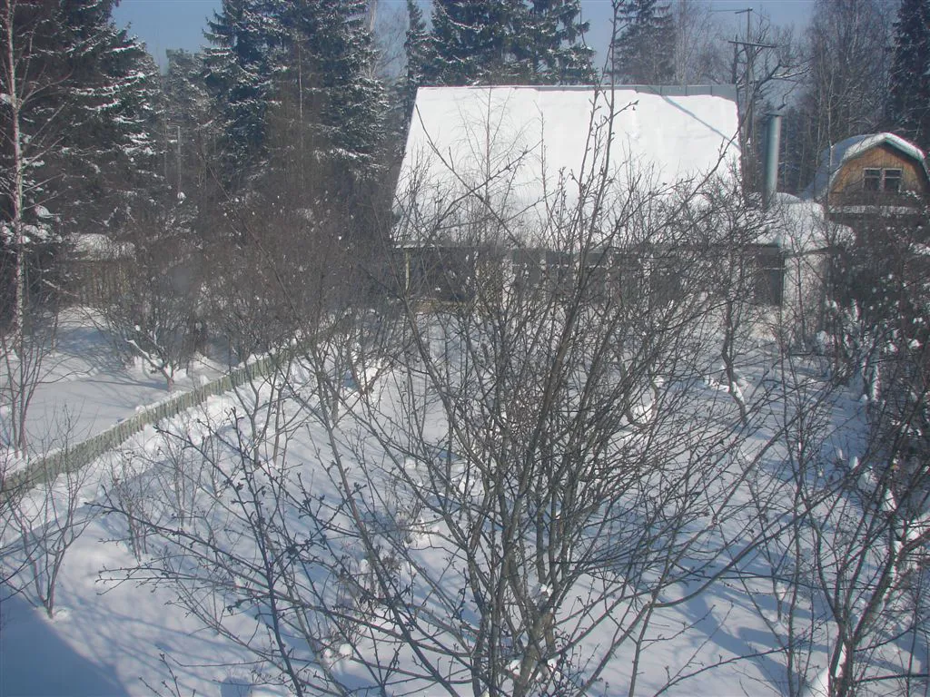Бирюзовая Изгородь в Лесу, фото 23