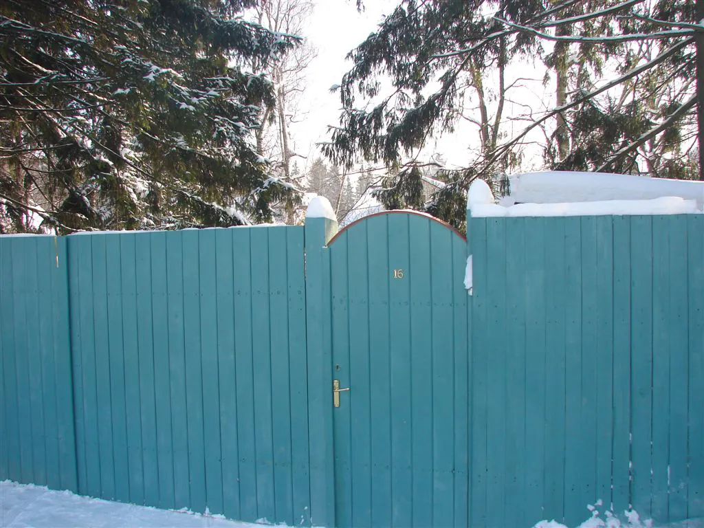 Бирюзовая Изгородь в Лесу, фото 1