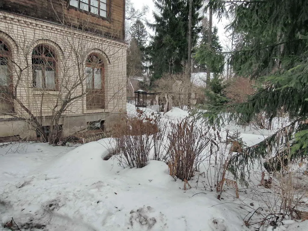 Эльфийский домик в лесу, фото 10