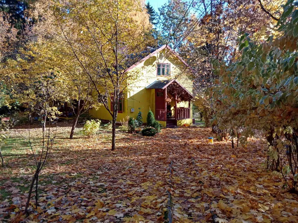 Желтая дача с беседкой, фото 1