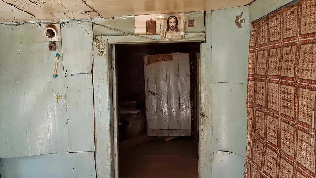 Дача в чаще, фото 23