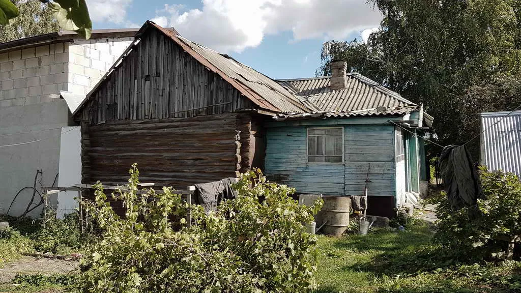 Дача в чаще, фото 18