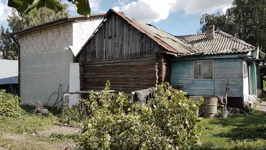 Дача в чаще, фото 19