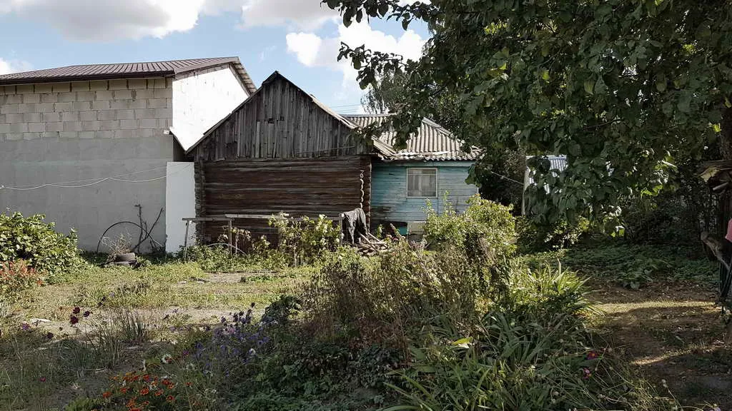 Дача в чаще, фото 17