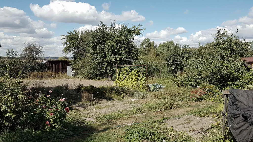 Дача в чаще, фото 9